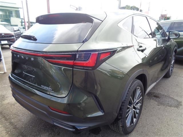 TOYOTA LEXUS NX350h 2022