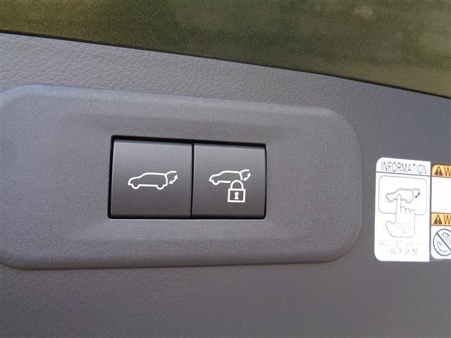 TOYOTA LEXUS NX350h 2022