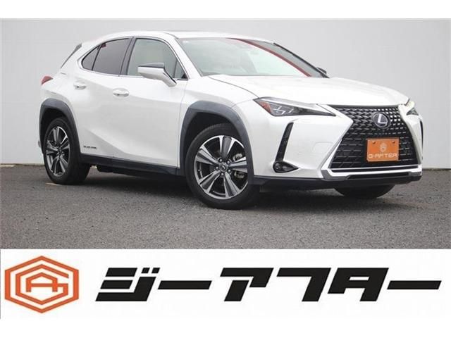 TOYOTA LEXUS UX300e 2021