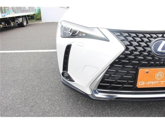 TOYOTA LEXUS UX300e 2021