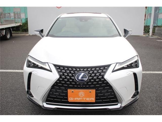 TOYOTA LEXUS UX300e 2021