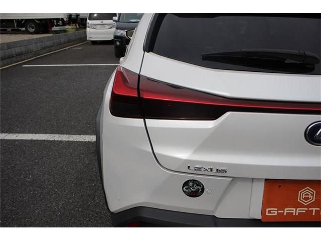 TOYOTA LEXUS UX300e 2021