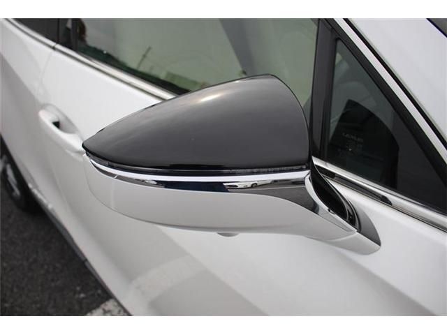 TOYOTA LEXUS UX300e 2021