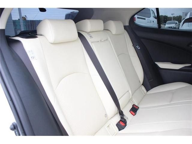 TOYOTA LEXUS UX300e 2021