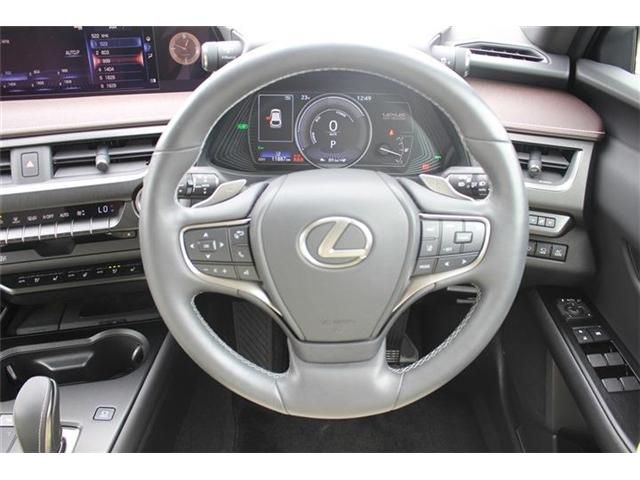 TOYOTA LEXUS UX300e 2021