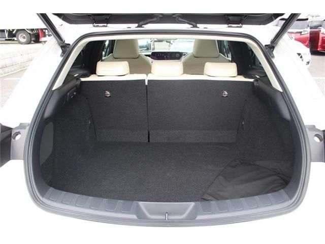 TOYOTA LEXUS UX300e 2021