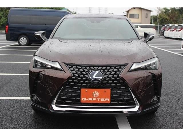 TOYOTA LEXUS UX250h 2019