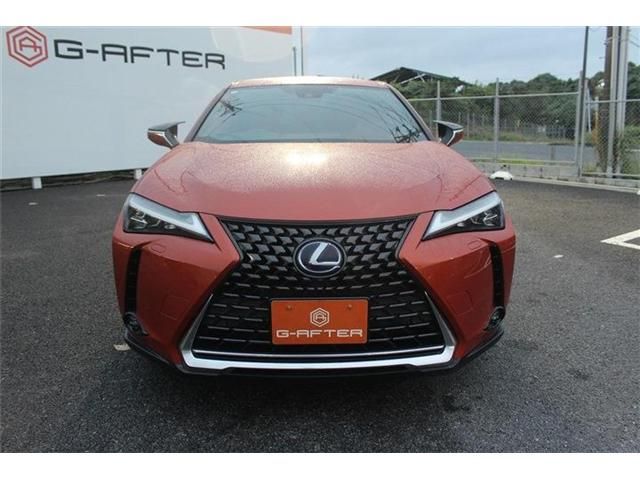 TOYOTA LEXUS UX250h 2019