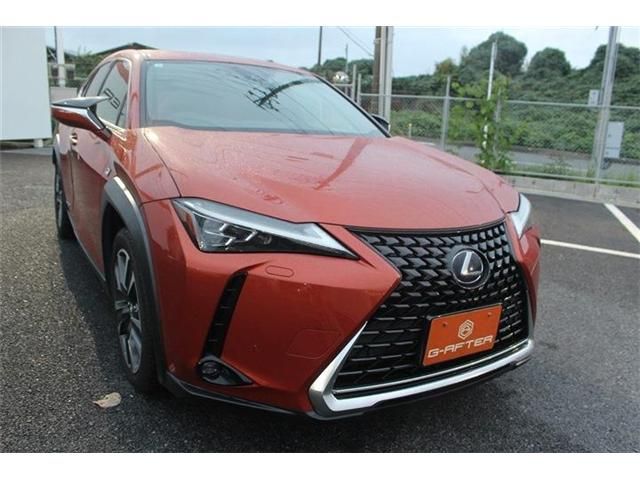 TOYOTA LEXUS UX250h 2019