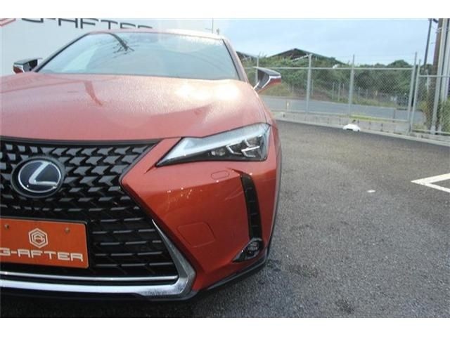 TOYOTA LEXUS UX250h 2019