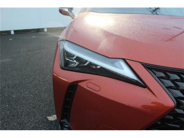 TOYOTA LEXUS UX250h 2019