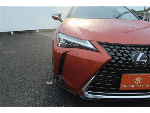 TOYOTA LEXUS UX250h 2019