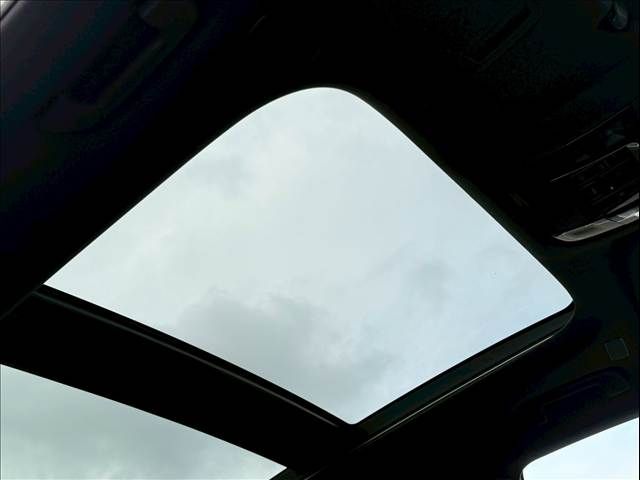 TOYOTA LEXUS RX500h 2023