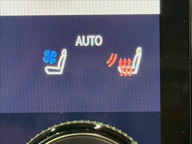 TOYOTA LEXUS RX500h 2023