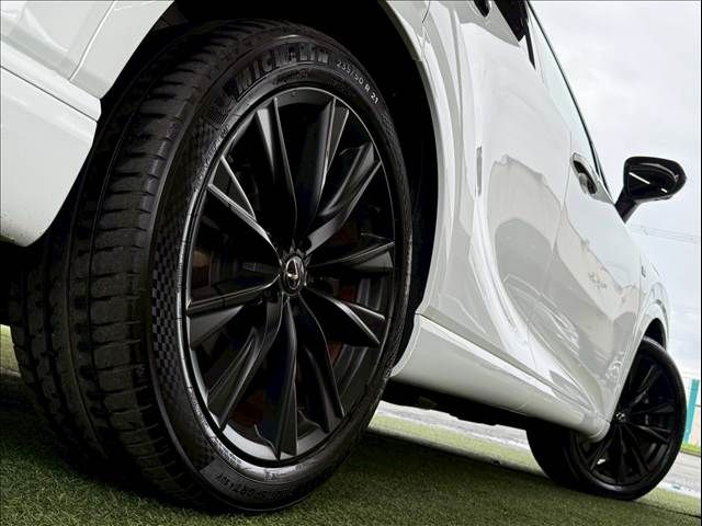 TOYOTA LEXUS RX500h 2023