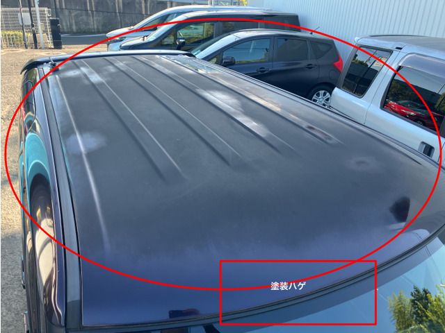 SUZUKI PALETTE SW 2010