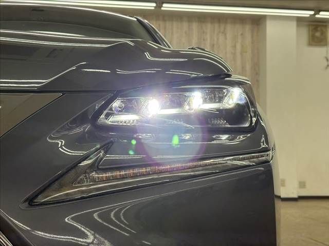 TOYOTA LEXUS NX300h 2015