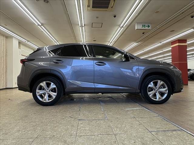 TOYOTA LEXUS NX300h 2015