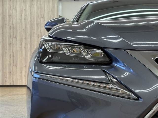 TOYOTA LEXUS NX300h 2015