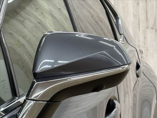 TOYOTA LEXUS NX300h 2015