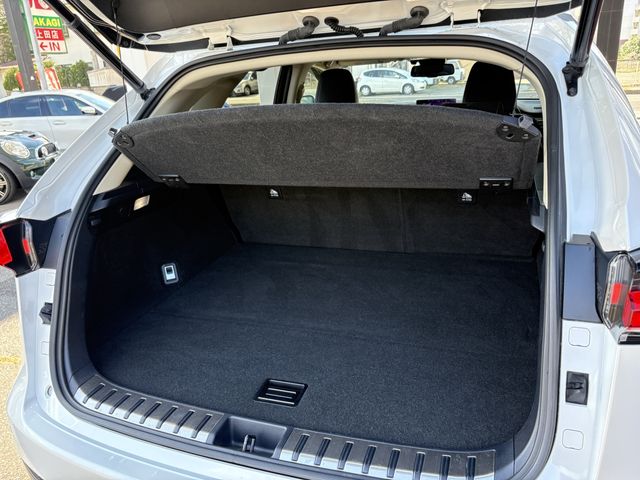 TOYOTA LEXUS NX300h AWD 2018