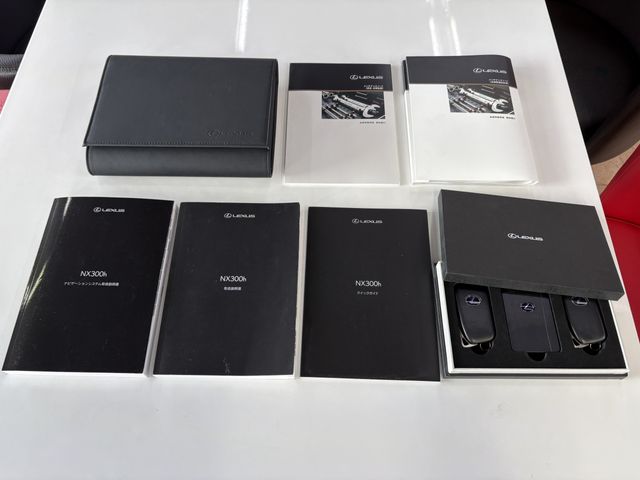 TOYOTA LEXUS NX300h AWD 2018