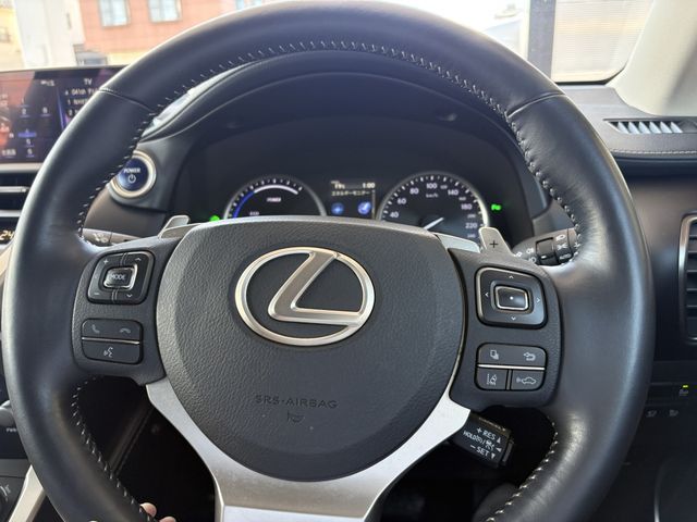 TOYOTA LEXUS NX300h AWD 2018
