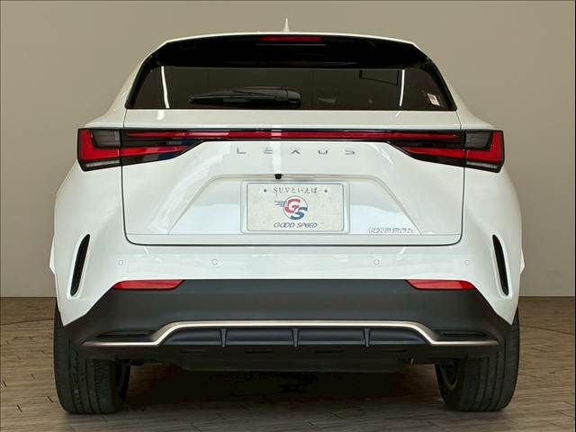 TOYOTA LEXUS NX350h 2023