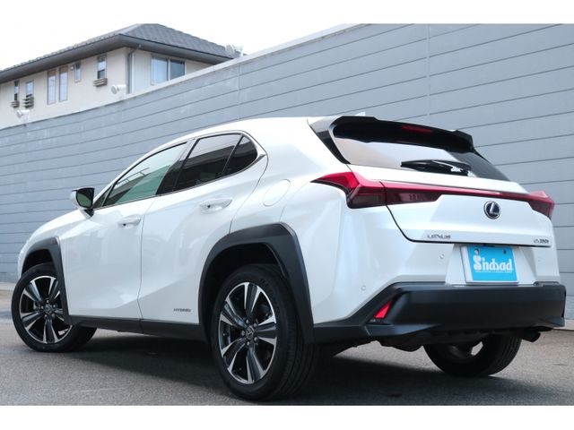 TOYOTA LEXUS UX250h 2019