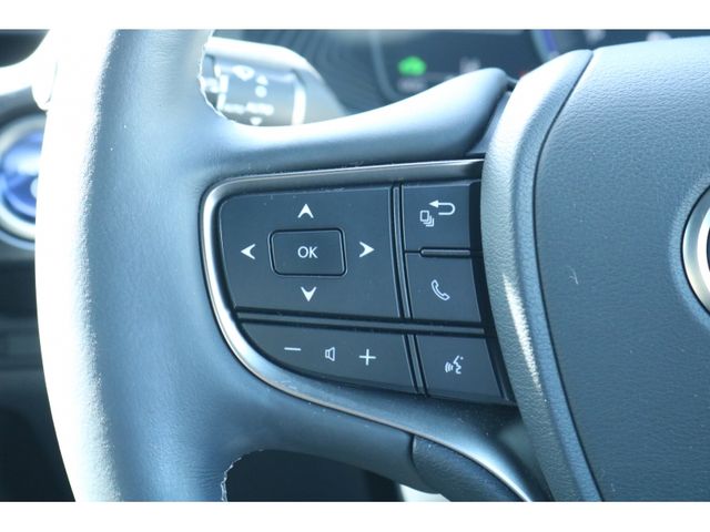 TOYOTA LEXUS UX250h 2019