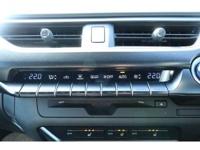 TOYOTA LEXUS UX250h 2019