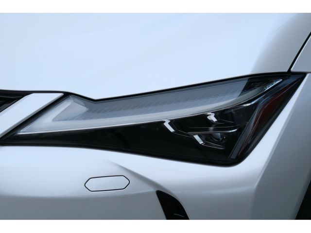 TOYOTA LEXUS UX250h 2019