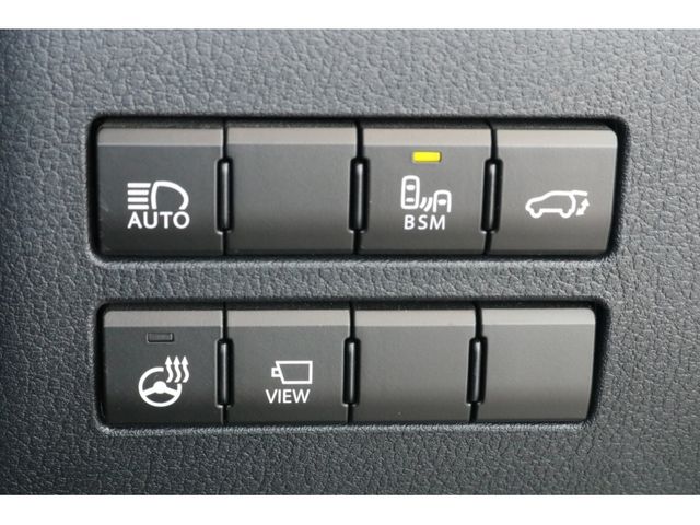 TOYOTA LEXUS NX300h 2020