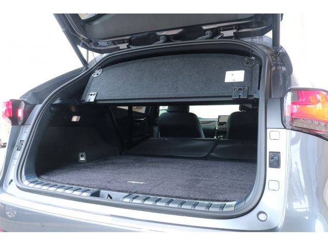 TOYOTA LEXUS NX300h 2020