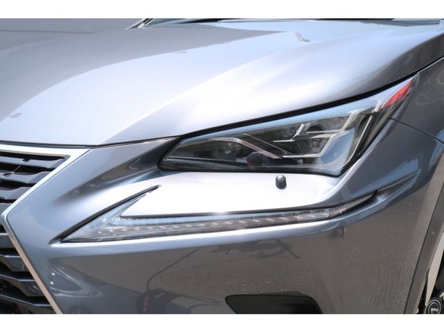 TOYOTA LEXUS NX300h 2020