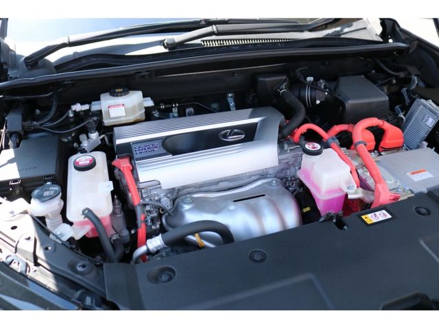 TOYOTA LEXUS NX300h 2020