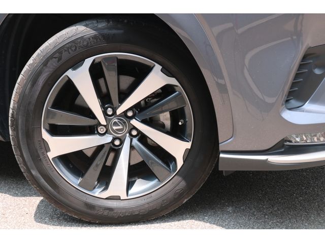 TOYOTA LEXUS NX300h 2020