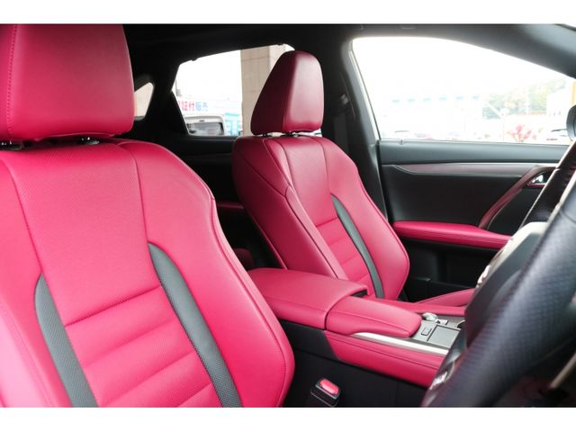 TOYOTA LEXUS RX300 2020