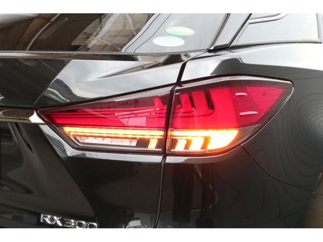 TOYOTA LEXUS RX300 2020