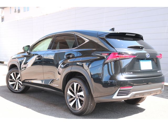 TOYOTA LEXUS NX300h 2019