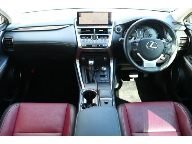 TOYOTA LEXUS NX300h 2019