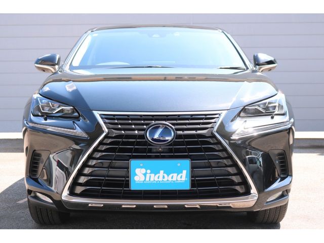 TOYOTA LEXUS NX300h 2019