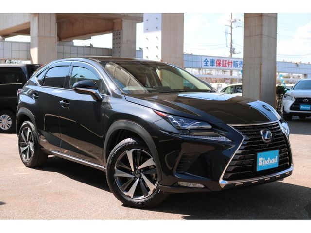 TOYOTA LEXUS NX300h 2019