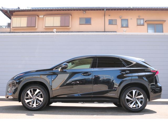 TOYOTA LEXUS NX300h 2019