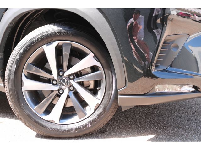 TOYOTA LEXUS NX300h 2019