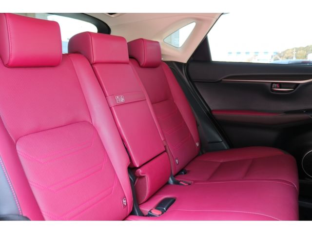 TOYOTA LEXUS NX300h 2019