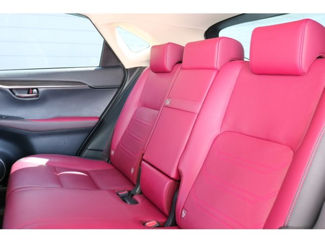 TOYOTA LEXUS NX300h 2019