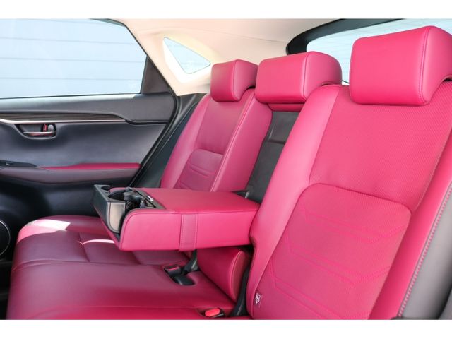 TOYOTA LEXUS NX300h 2019