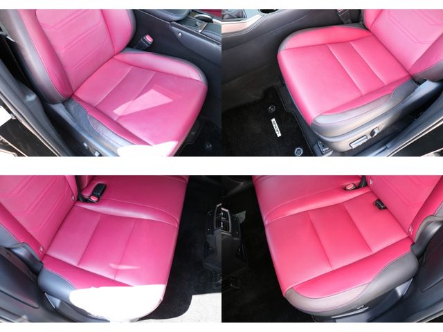 TOYOTA LEXUS NX300h 2019