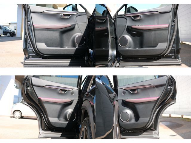 TOYOTA LEXUS NX300h 2019